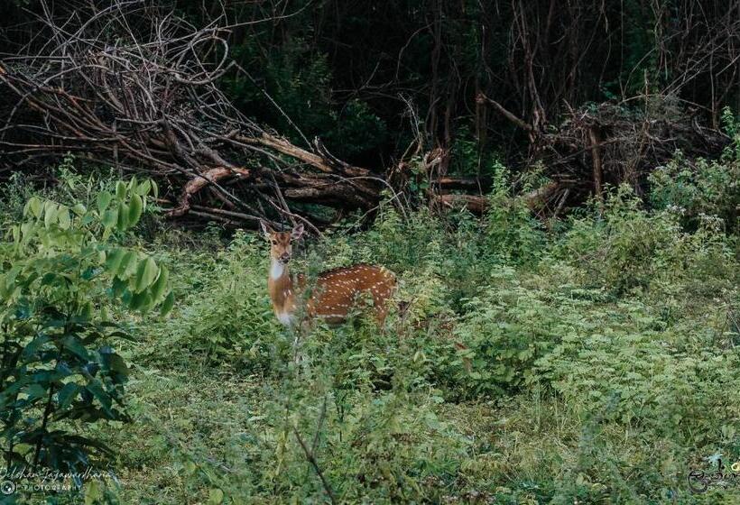 בית מלון כפרי Lakegala Resort
