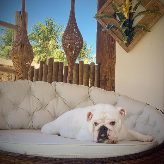 פנסיון Akua Concept   Taipu De Fora