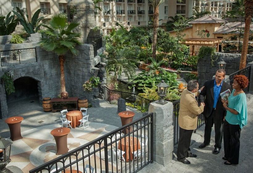 هتل Gaylord Palms Resort & Convention Center