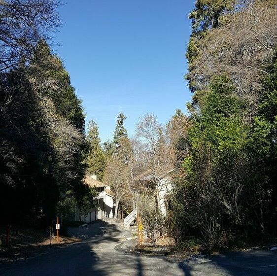 בית מלון כפרי Lake Arrowhead Chalets