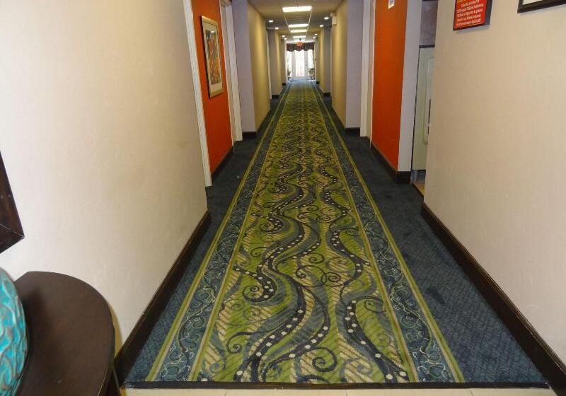 هتل Ocean Sands Beach Boutique Inn 1 Acre Private Beach St Augustine Historic 2 Miles Shuttle With Downt