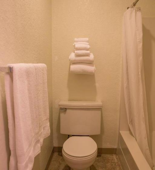 מוטל Downtowner Inn