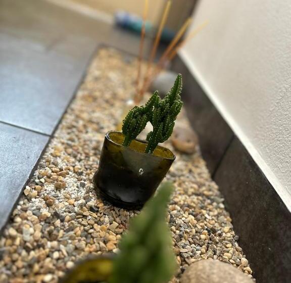 تختخواب و صبحانه Wayra Natura