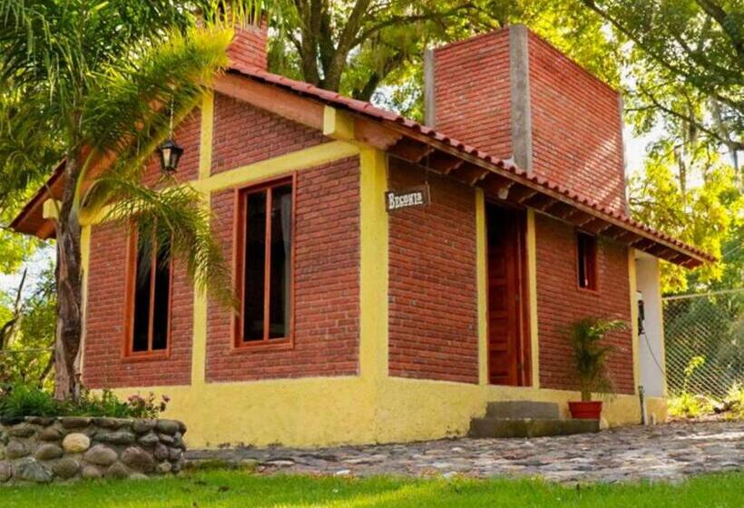 فندق Cabanas Del Bosque By Rotamundos