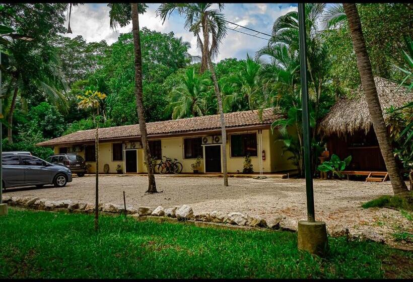 Villas Pura Vibra