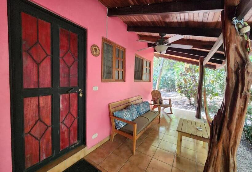 Villas Pura Vibra