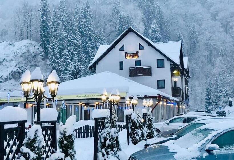 酒店 Popasul Regelui Transalpina