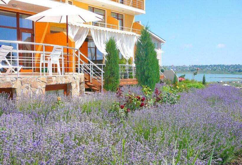 ホテル Villa Lavanda