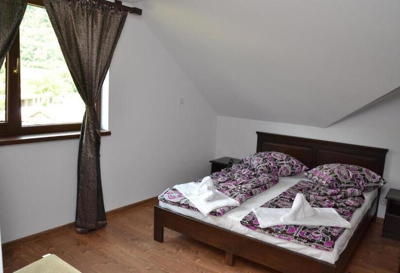 پانسیون Vila Golful Dunării