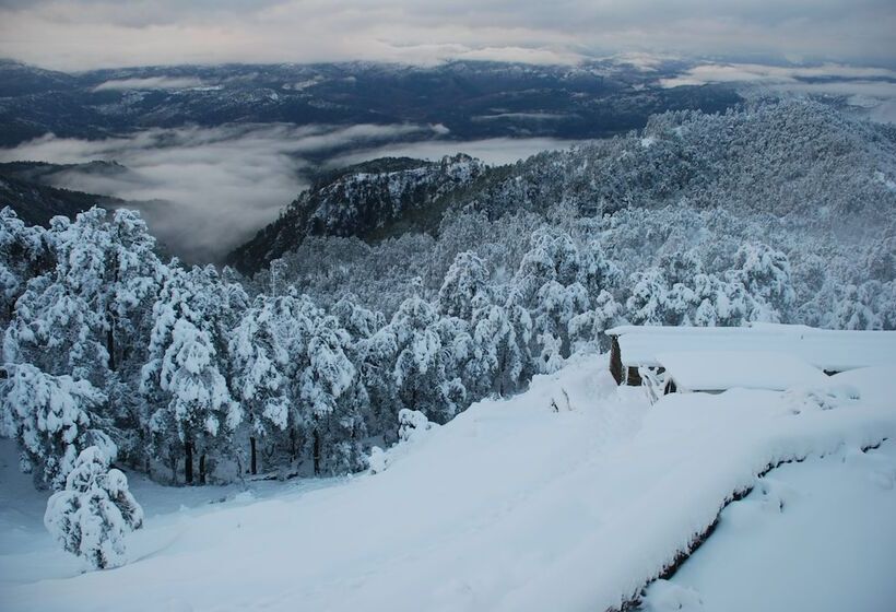 منتجع Tree Of Life Grand Oak Manor Binsar