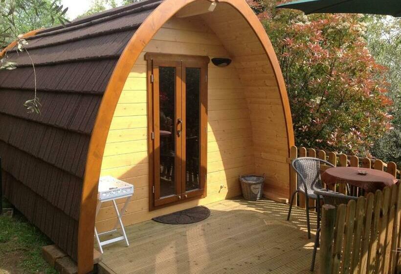 ベッドアンドブレックファースト Igloo Mobil Home