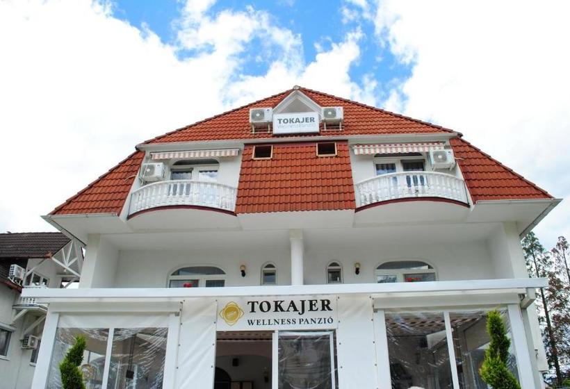 هتل Tokajer Wellness Panzió