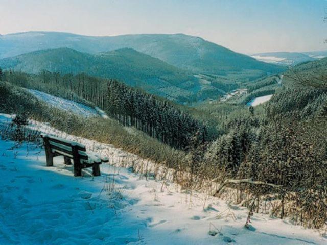 리조트 Typ Wieselbau