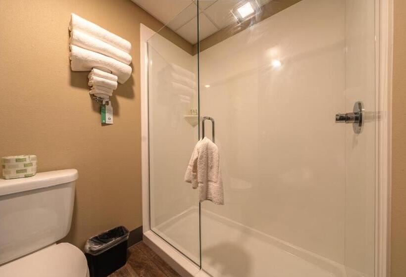 ホテル Cobblestone Inn & Suites  Trenton