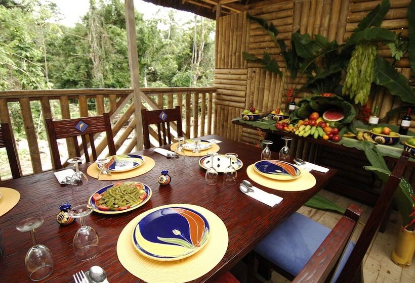 فندق Amazon Dolphin Lodge
