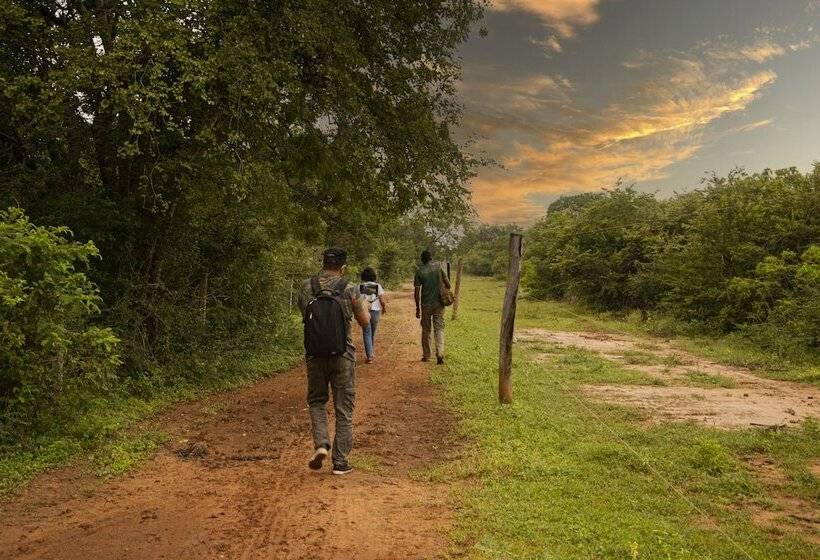 فندق Big Game   Udawalawe By Eco Team