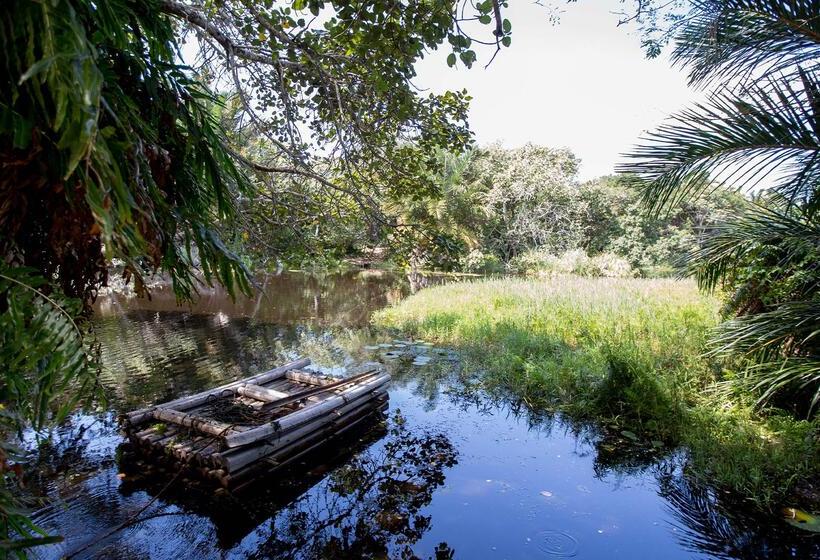 Отель Royal Thonga Safari Lodge