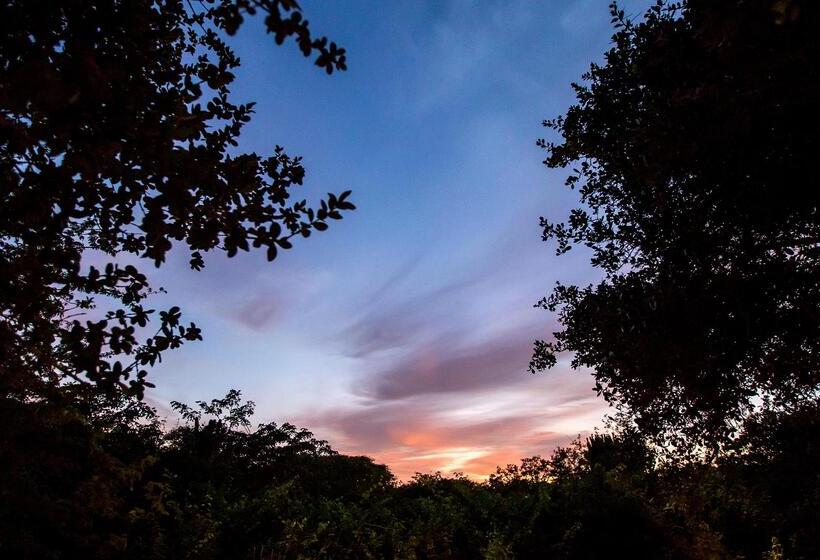 Отель Royal Thonga Safari Lodge