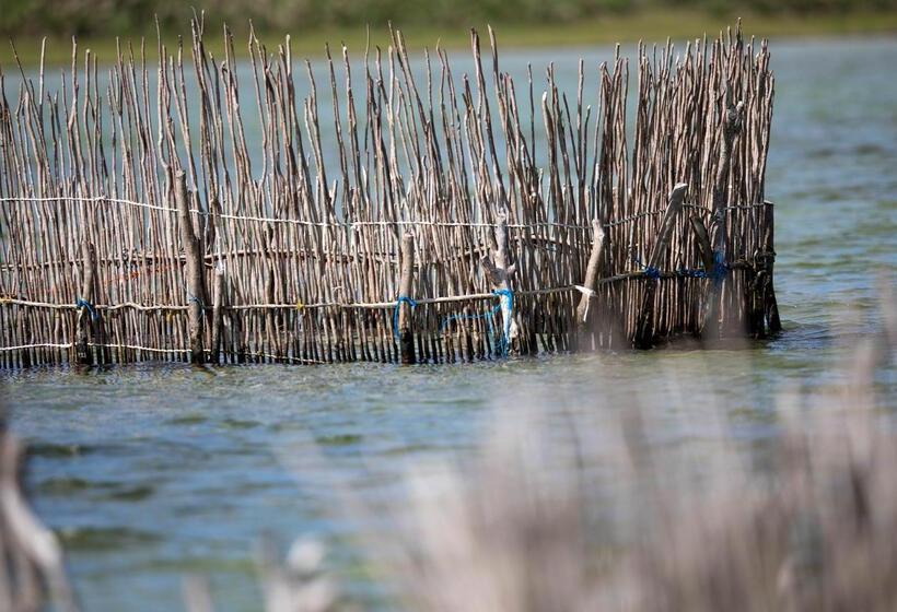 Отель Royal Thonga Safari Lodge