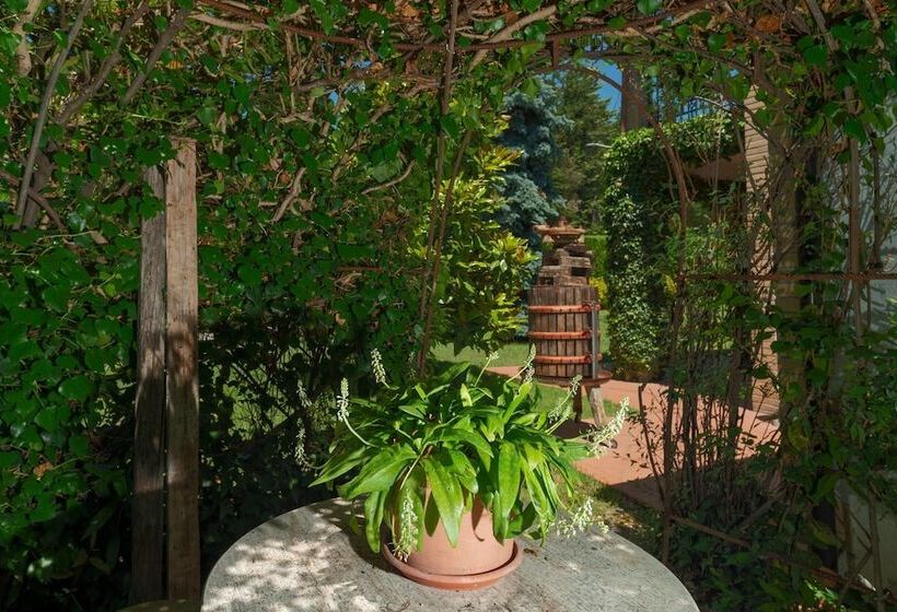 مبيت وإفطار Lucrezia E Cesare Borgia