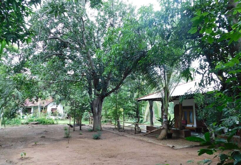 مبيت وإفطار Yala Avian Eye Safari