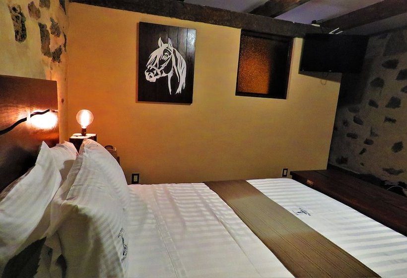 فندق Hacienda Calichar