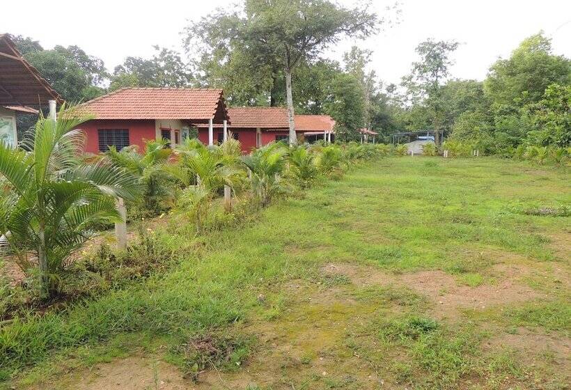 酒店 Jungle Nest Homestay