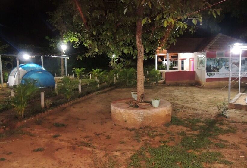 酒店 Jungle Nest Homestay