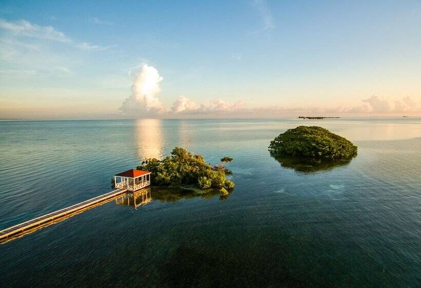 فندق Royal Belize, A Muy Ono Resort
