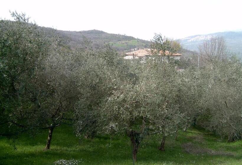 田舎風ホテル Agriturismo Le Cammarose