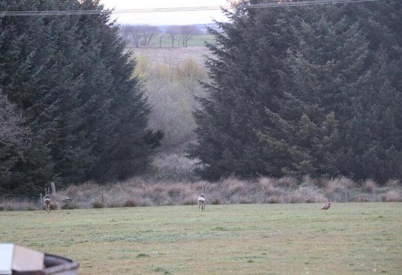 بنسيون Blairmains Guest House