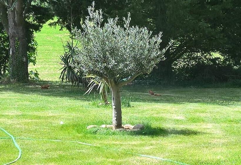 بنسيون L Echappée Belle