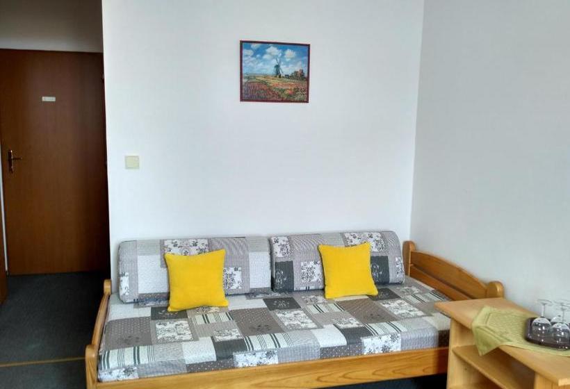 פנסיון Penzion Bouquet