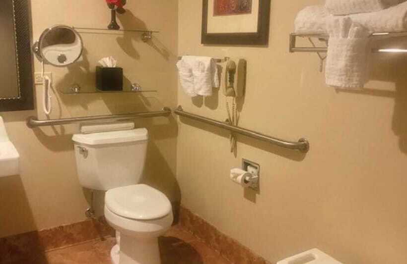 Best Western Plus Deer Park Hotel And Suites