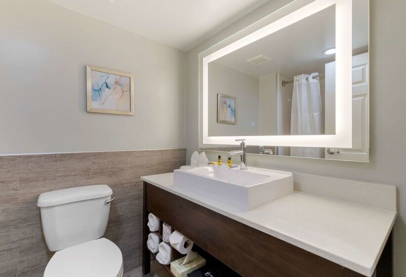 هتل Best Western Plus Mcallen Airport