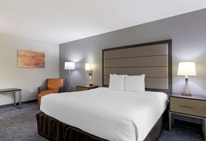 هتل Best Western Plus Mcallen Airport