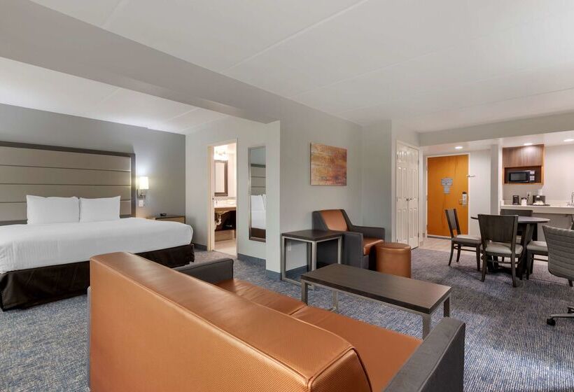 هتل Best Western Plus Mcallen Airport
