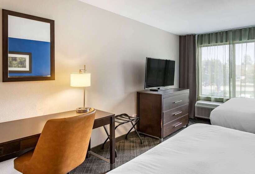 هتل Comfort Inn & Suites Grand Blanc Flint