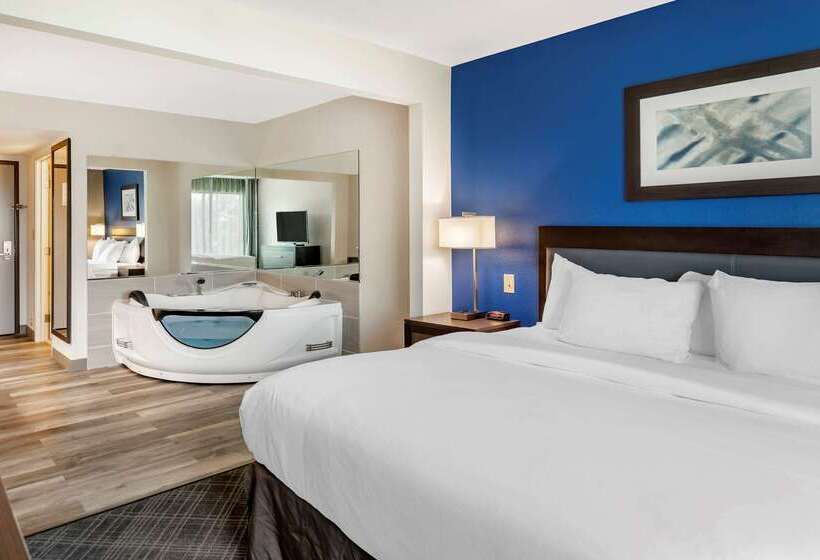 هتل Comfort Inn & Suites Grand Blanc Flint
