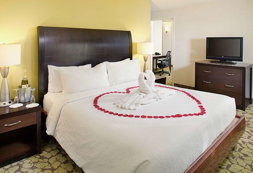هتل Hilton Garden Inn Denver Tech Center