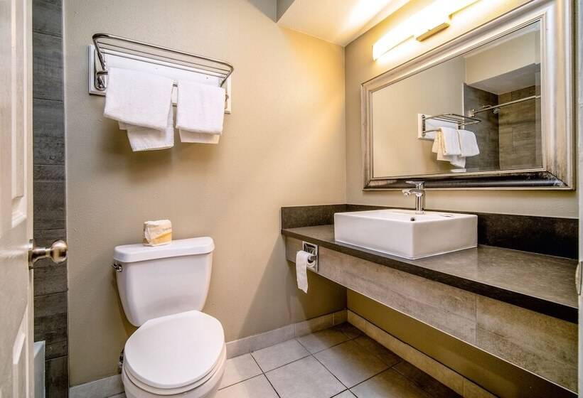 Отель Regency Inn & Suites Downey
