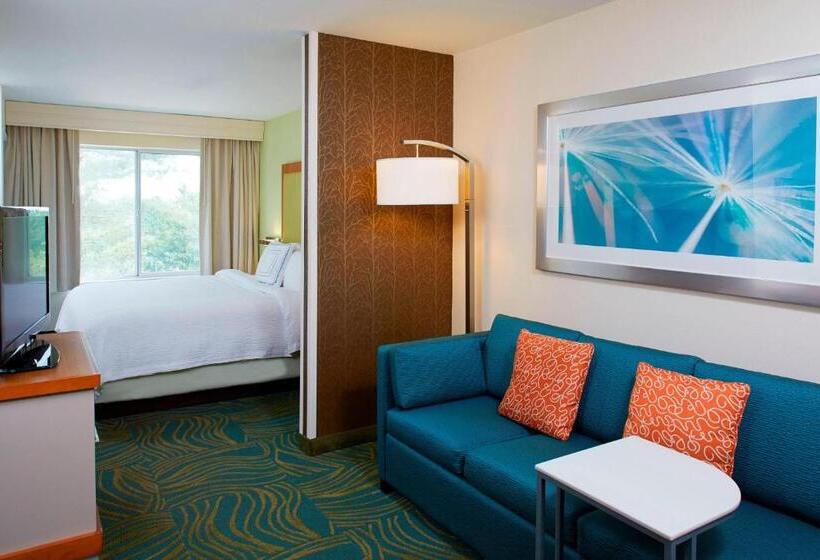 فندق Springhill Suites By Marriott Atlanta Six Flags