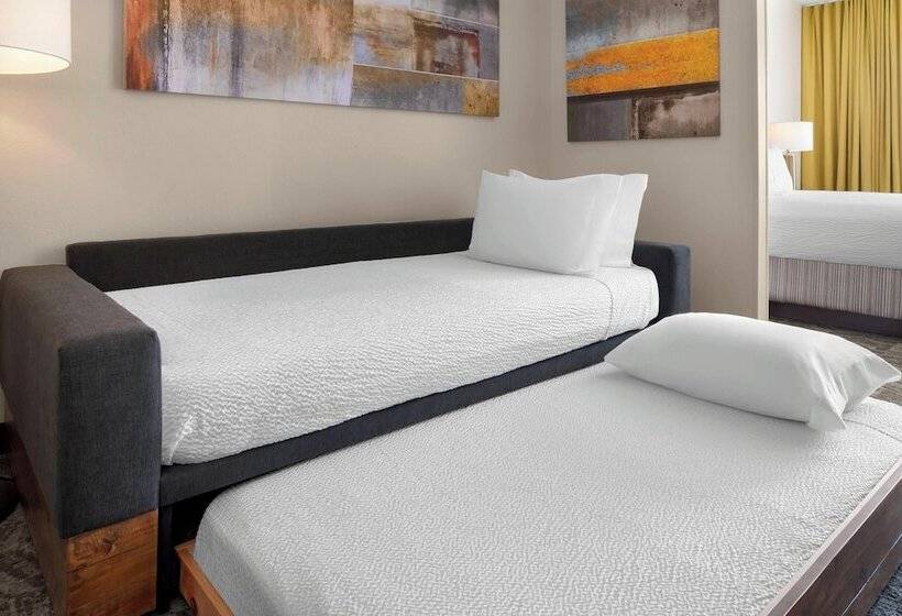 酒店 Springhill Suites Austin Round Rock