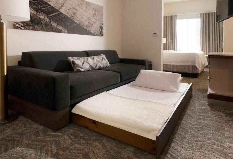 호텔 Springhill Suites By Marriott Austin The Domain Area