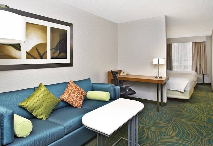 בית מלון כפרי Springhill Suites By Marriott Chicago Southwest At Burr Ridge Hinsdale