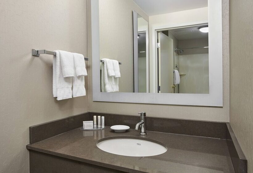 هتل Springhill Suites By Marriott Chicago Schaumburg/woodfield Mall