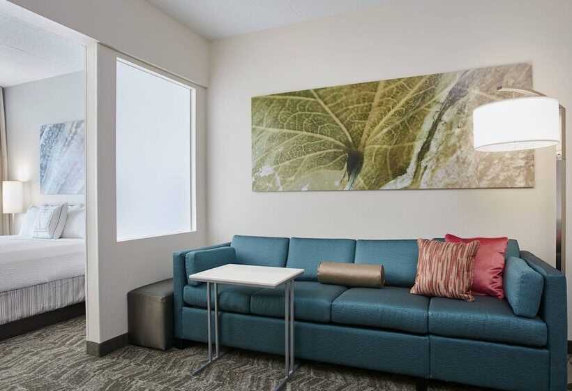 هتل Springhill Suites By Marriott Chicago Schaumburg/woodfield Mall