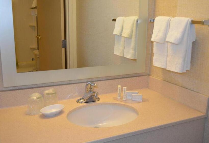 فندق Springhill Suites By Marriott Lansing