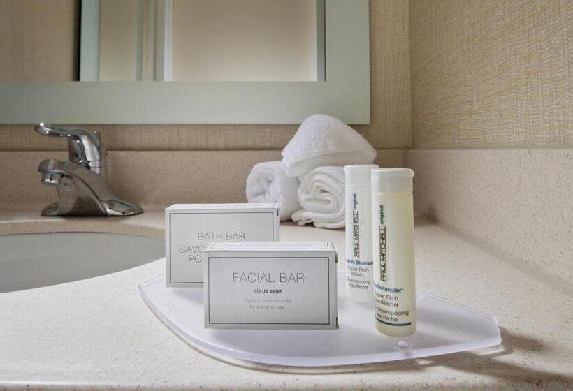 فندق Springhill Suites By Marriott Lansing