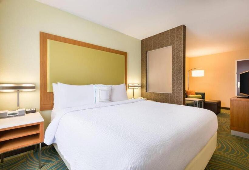 فندق Springhill Suites By Marriott Little Rock